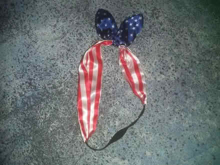 Photo of free Dog American flag costume piece (Kensington) #1