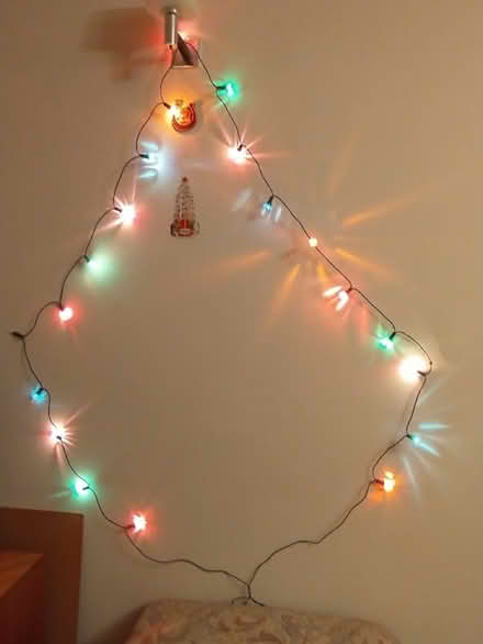 Photo of free Christmas tree lights (IP9) #1