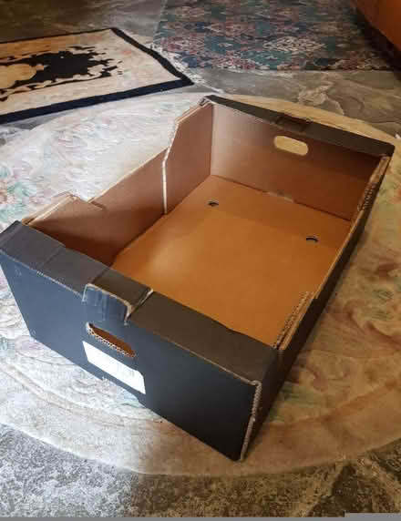 Photo of free Cardboard Trays (Hilltown DD3) #1