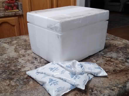 Photo of free Mini styrofoam coolers + ice pacs (Sunnyvale near Levi Stadium) #2