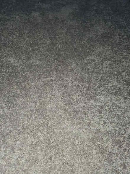 Photo of free Carpet only, new (Palm coast) #1