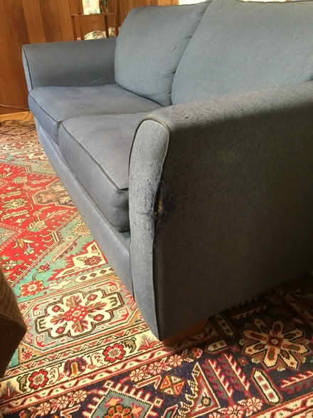 Photo of free sofabed (woodacre) #3