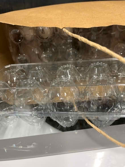 Photo of free Egg containers (Ridgewood/Paramus) #1