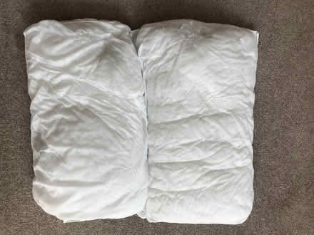 Photo of free 2 Pillows (Weymouth) #1