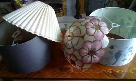 Photo of free Lampshades (Trefnant LL16) #1