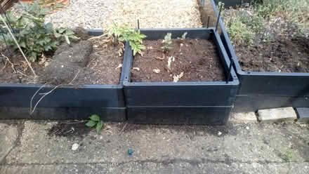 Photo of free Raised garden beds/plant pots (Spinney Hill) #1