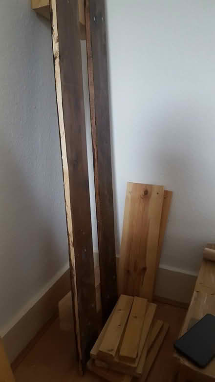 Photo of free assorted bits of wood (N5 Clissold Park)