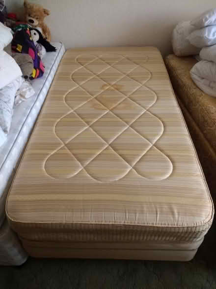 Photo of free Sprung-base single divan bed (Cockfosters EN4) #2