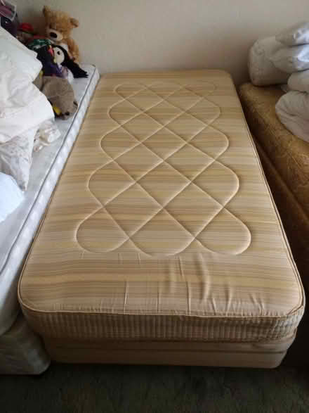 Photo of free Sprung-base single divan bed (Cockfosters EN4) #1