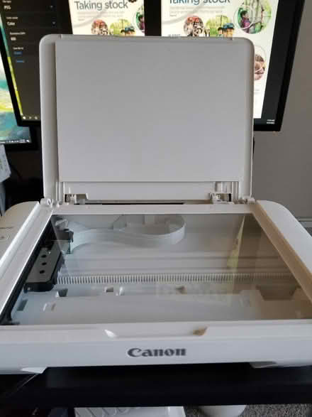 Photo of free Canon PIXMA MG2520 scanner (Burnsville)