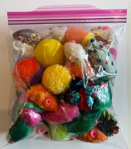 Photo of free 1/2 Bag of cat toys (Woodbridge) #1