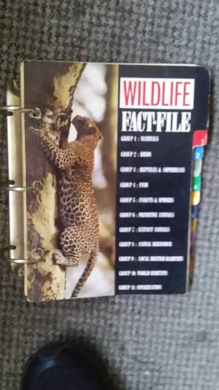 Photo of free Wildlife Fact File (Keresley Newlands CV7) #1