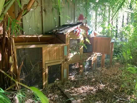 Photo of free Rabbit hutch. Guinea pig pen (Woodside Plaza - Redwood City) #1