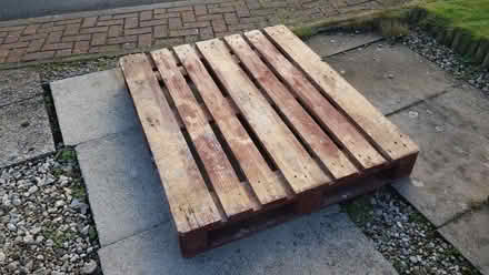 Photo of free Pallet (S10) #1