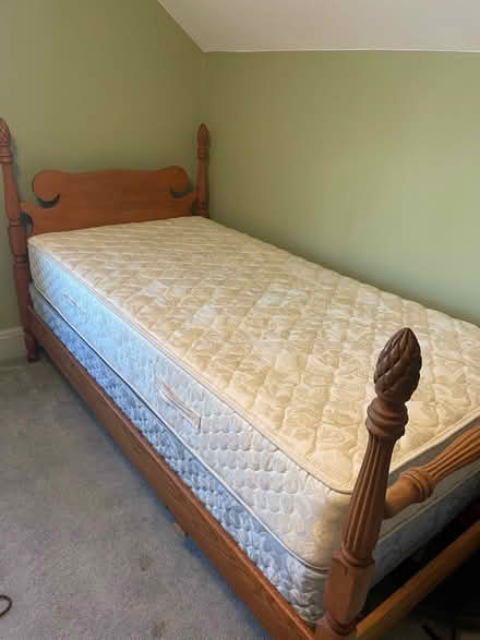 Photo of free Two twin size mattresses (Mountain View/Wynantskill) #1