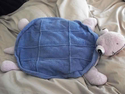 Photo of free Turtle Seat Cover (Oakland) #1