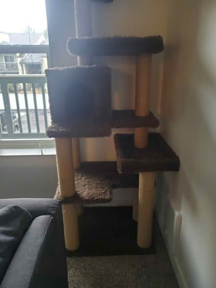 Photo of free used cat tree (tigard) #2