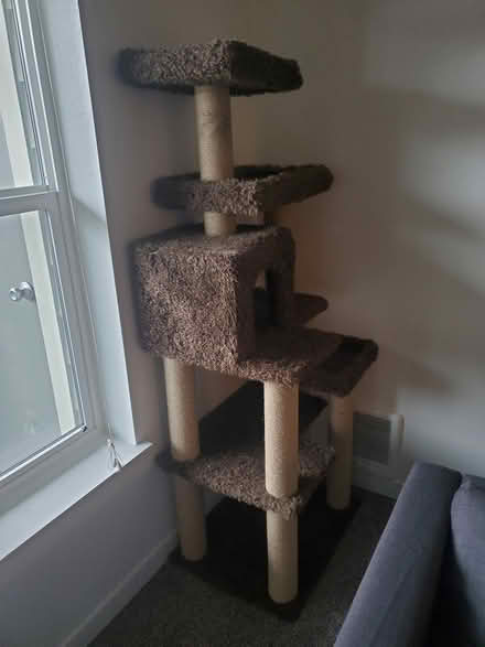 Photo of free used cat tree (tigard) #1