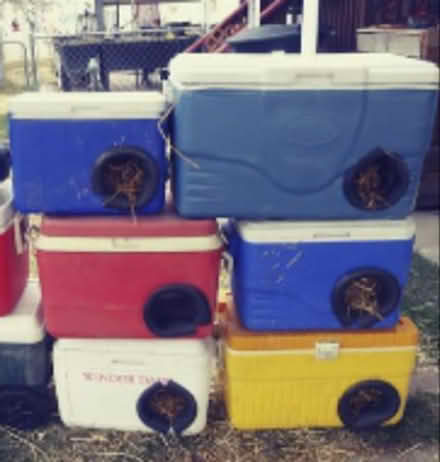 Photo of Coleman/Igloo Coolers (Billy Graham & I-85) #1