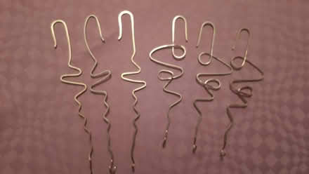 Photo of free Ornament hangers (Glen Erin/Council Ring) #1