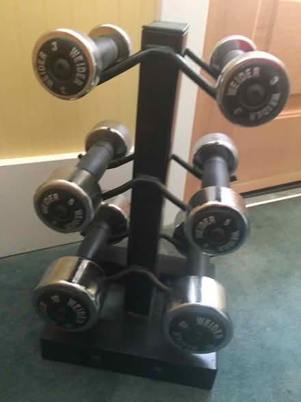 Photo of free Free weights, set (Renton, WA (Renton Hill)) #1