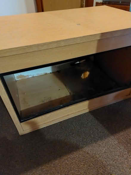 Photo of free 2ft vivarium (SY18) #1
