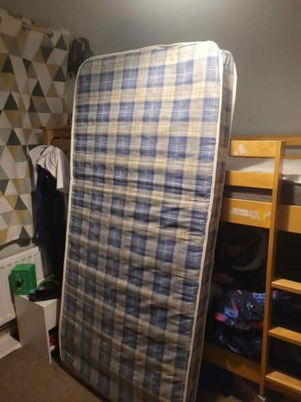 Photo of free Standard single mattress (Leigh Park) #1