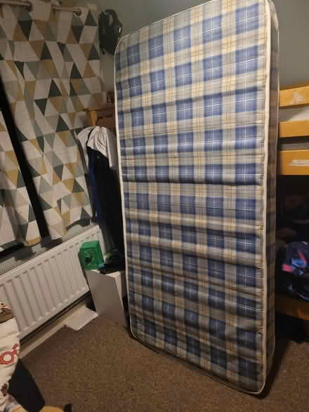 Photo of free Standard single mattress (Leigh Park) #2