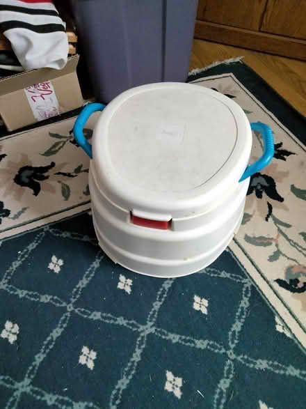 Photo of free Toddler Potty / Stepstool (Palatine) #3