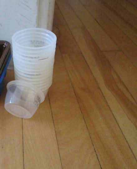 Photo of free small plastic containers (Old Ottawa South) #1