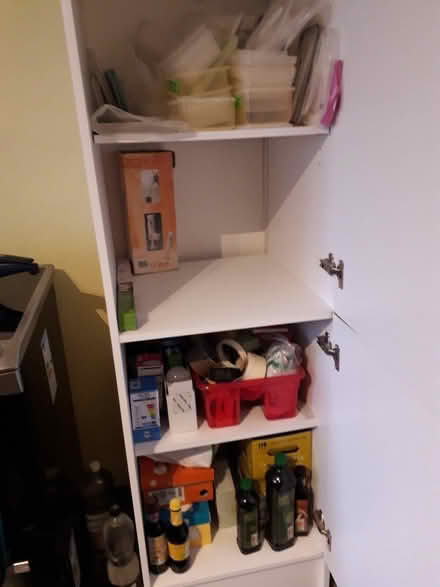 Photo of free tall free standing cupboard and small wooden cupboard doors (Heeley S2) #3