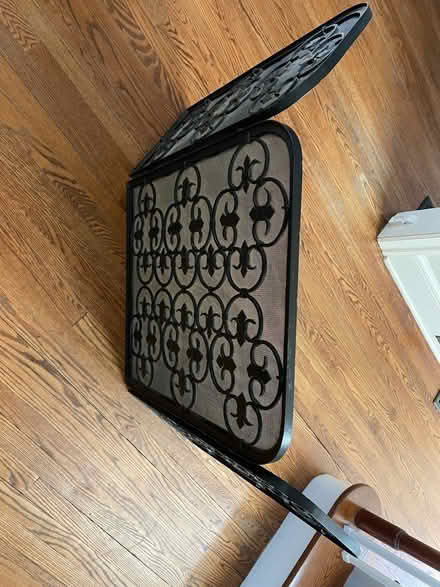 Photo of free Fireplace screen (Harrison St in Princeton, NJ)