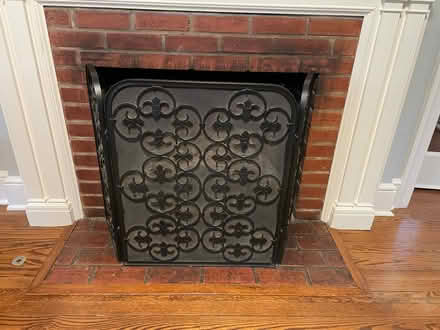 Photo of free Fireplace screen (Harrison St in Princeton, NJ)