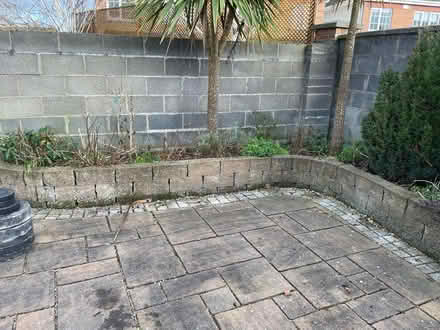 Photo of free Raised bed blocks (Clonee Dublin 15) #1