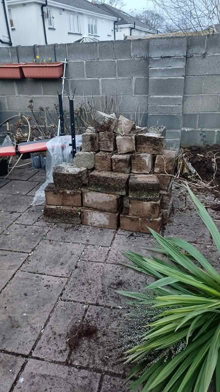 Photo of free Raised bed blocks (Clonee Dublin 15) #2