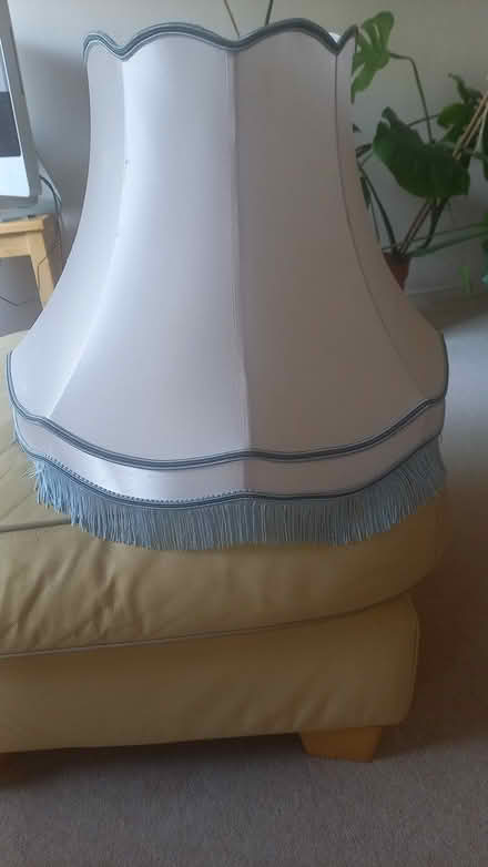 Photo of free Large lamp shade (Edinburgh EH16) #1