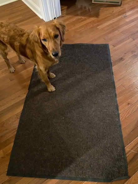 Photo of free Thin dark grey rug no skid (Columbia Heights) #2