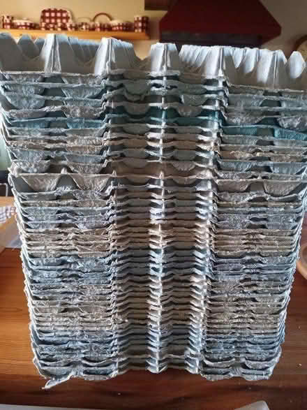 Photo of free Egg Trays (HR6) #1