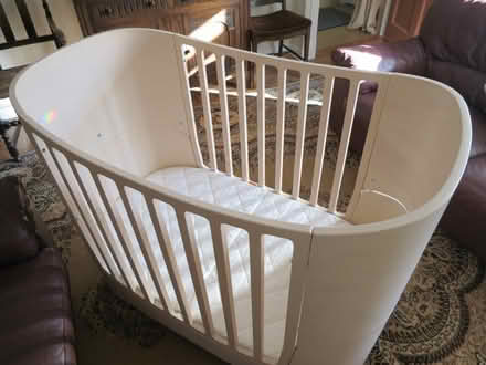 Photo of free Cot and early years bed (Thornhill FK8)