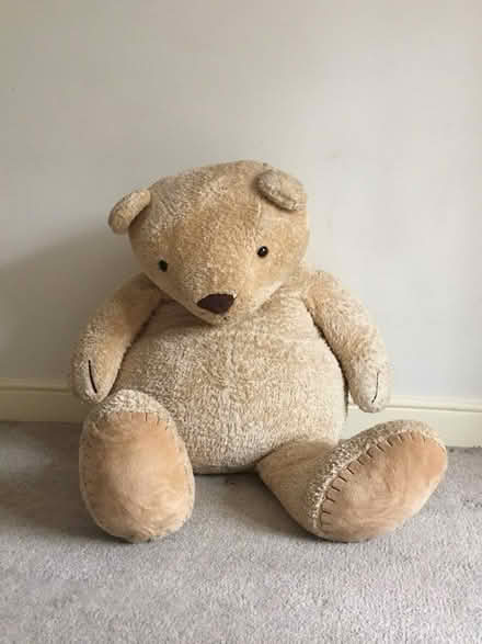 Photo of free Very big teddy (West End village, SO30) #2