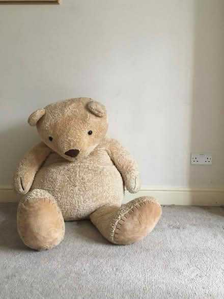 Photo of free Very big teddy (West End village, SO30) #1