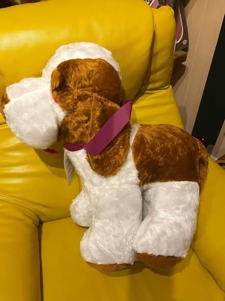 Photo of free Large Toy Dog (Wanstead) #2