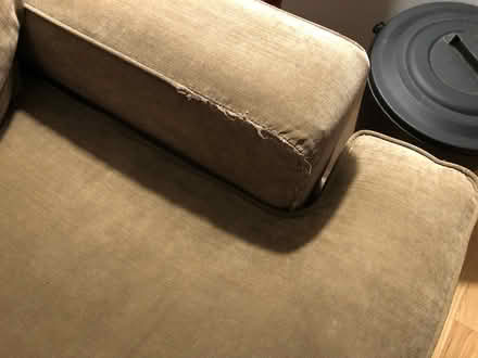 Photo of free Couch (Saratoga near casino) #4