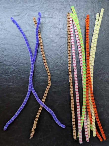 Photo of free 12 Fancy Pipe Cleaners (Capitol Hill) #1