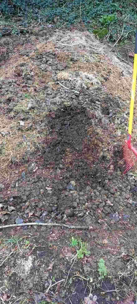 Photo of free Horse/Alpaca Manure (Pant SY10) #1