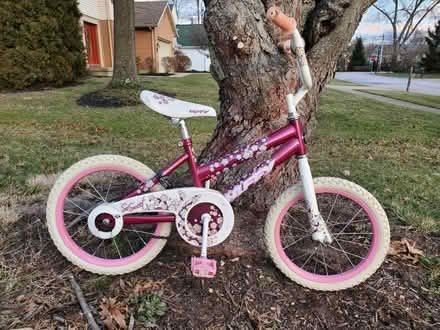 Photo of free Girls bike (Loveland) #1