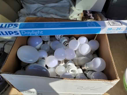 Photo of free Lightbulbs (Randleman) #1