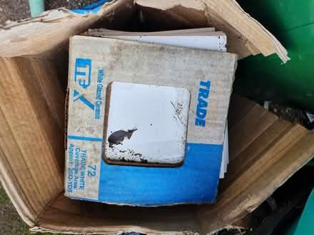 Photo of free Box of wall tiles (Lovedean PO8 9) #2