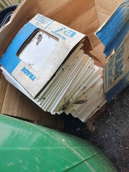 Photo of free Box of wall tiles (Lovedean PO8 9) #1
