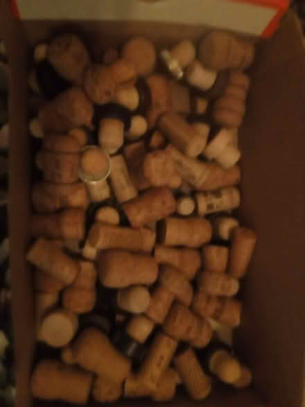Photo of free Corks from wine, champagne and whisky bottles (West Haddon) #1